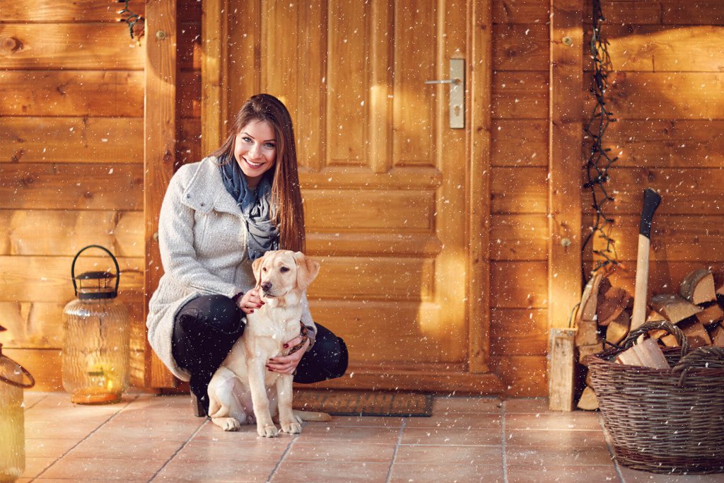 Dog Friendly Cottages Enjoy Winter Holidays With Pet Tractive