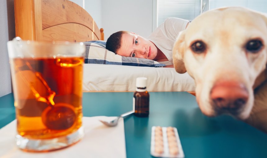 A sick man lying in bed next to a dog