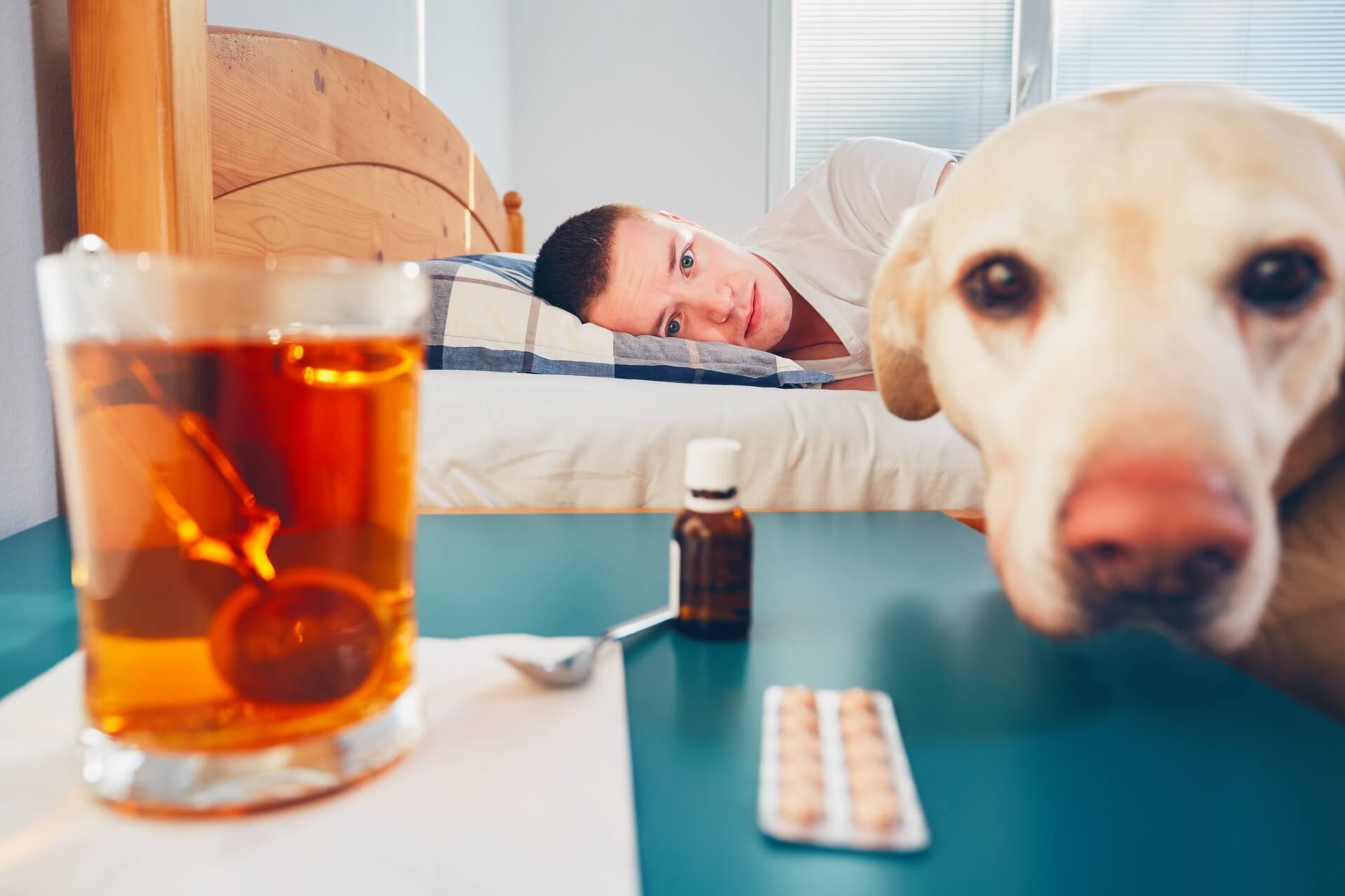 A sick man lying in bed next to a dog