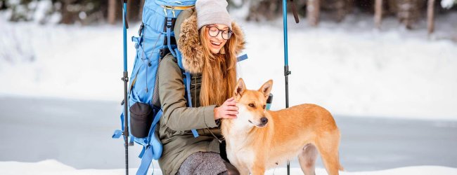 Skiurlaub mit Hund alles was du wissen musst