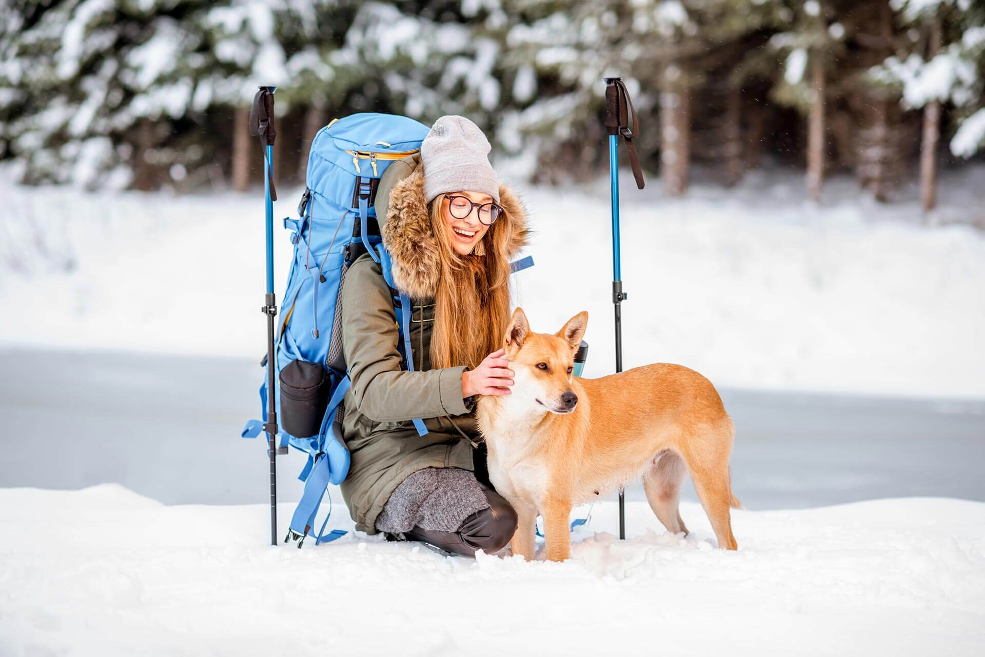 Skiurlaub mit Hund alles was du wissen musst