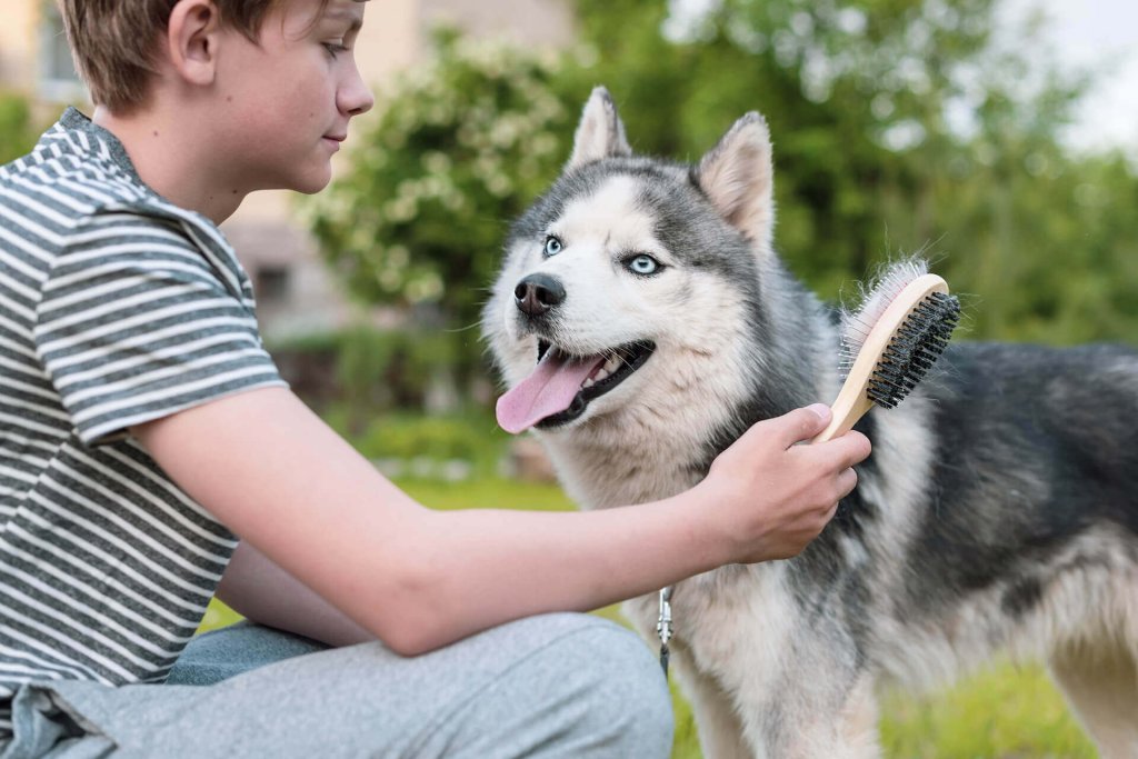 ragazzo pettina il pelo del suo cane