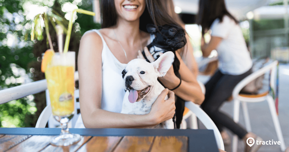 I fare Parametre nakke Hunde im Café: 10 Tipps & Tricks für das Stillsitzen im Café | Tractive