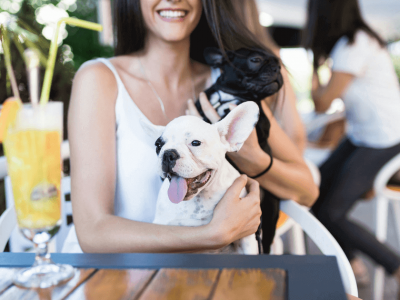 Hundecafé: Die besten Tipps, damit dein nächster Cafébesuch mit Hund entspannt wird