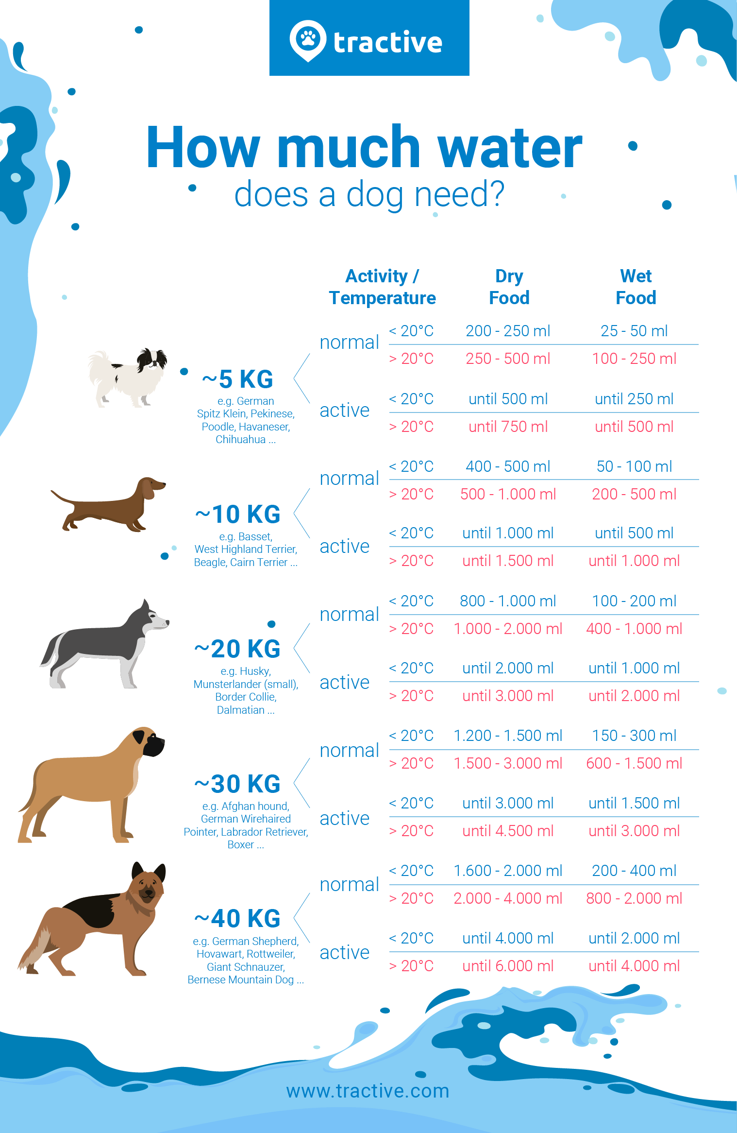 my dog wont drink water - reasons and solutions infographic overview of how much water a dog needs by size, activity level, and food type