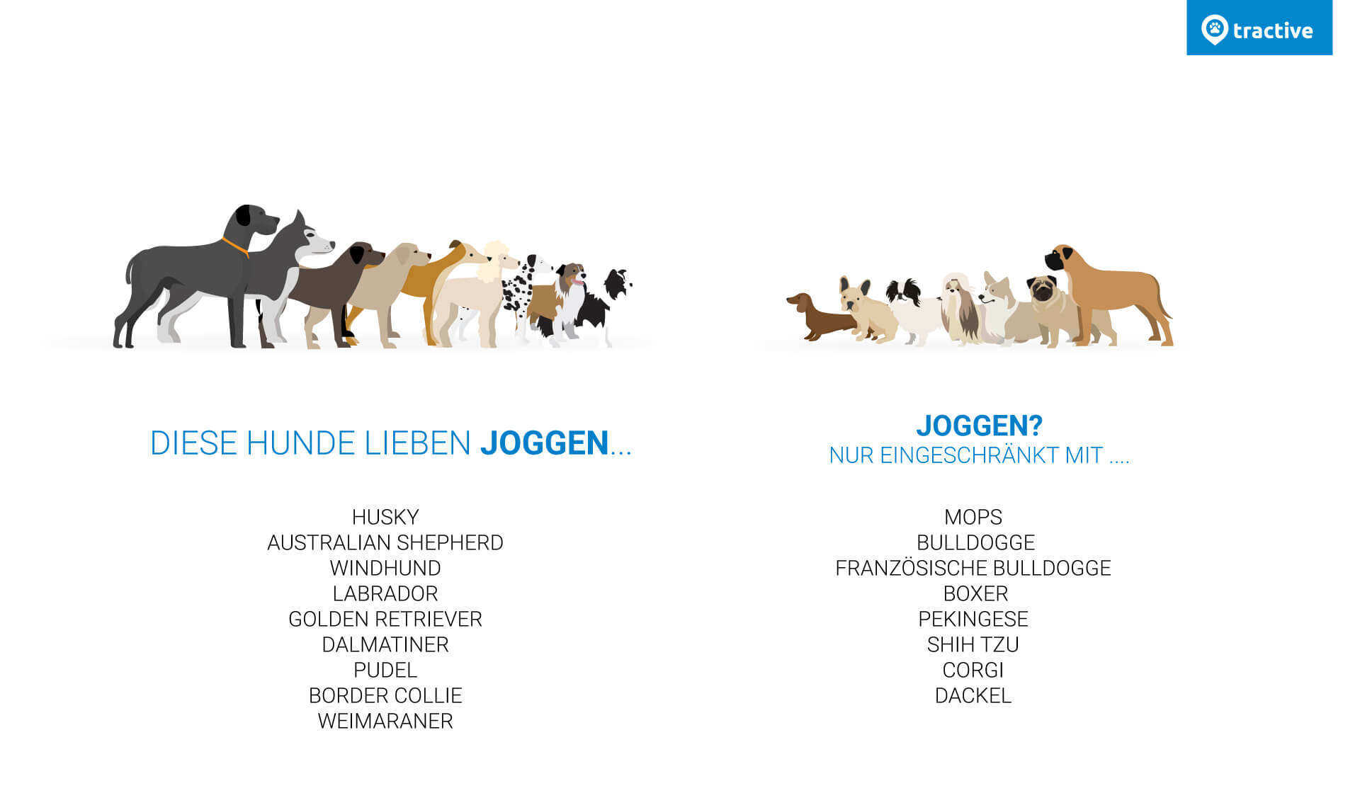 Übersicht, welche Hunde gerne joggen und welche nicht mit Hunde-Illustration