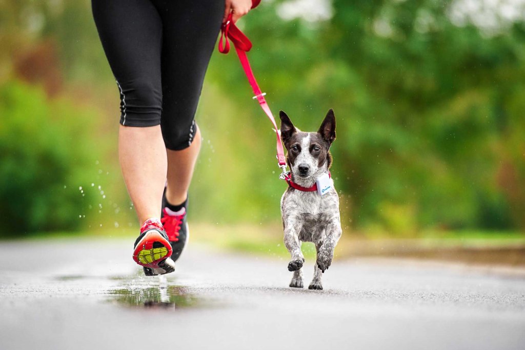 woman running with dog outside
