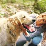 Kommunikation Hund - auf diese Verhaltensregeln musst du aufpassen