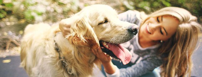Kommunikation Hund - auf diese Verhaltensregeln musst du aufpassen