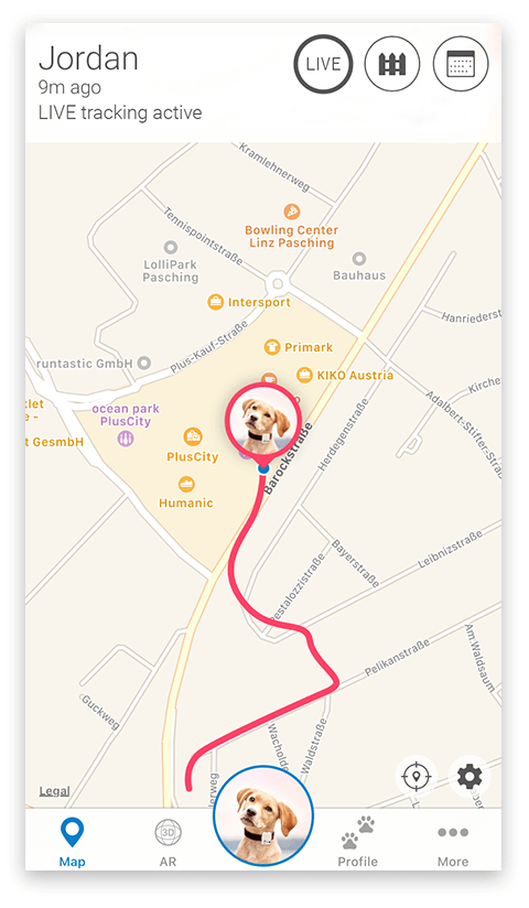 Live tracking on the Tractive GPS mobile app