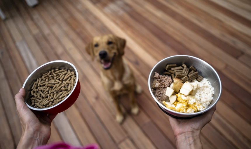 A woman holding two bowls of food before a dog