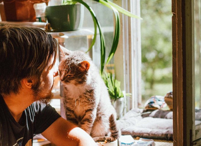A man spending time with a cat indoors