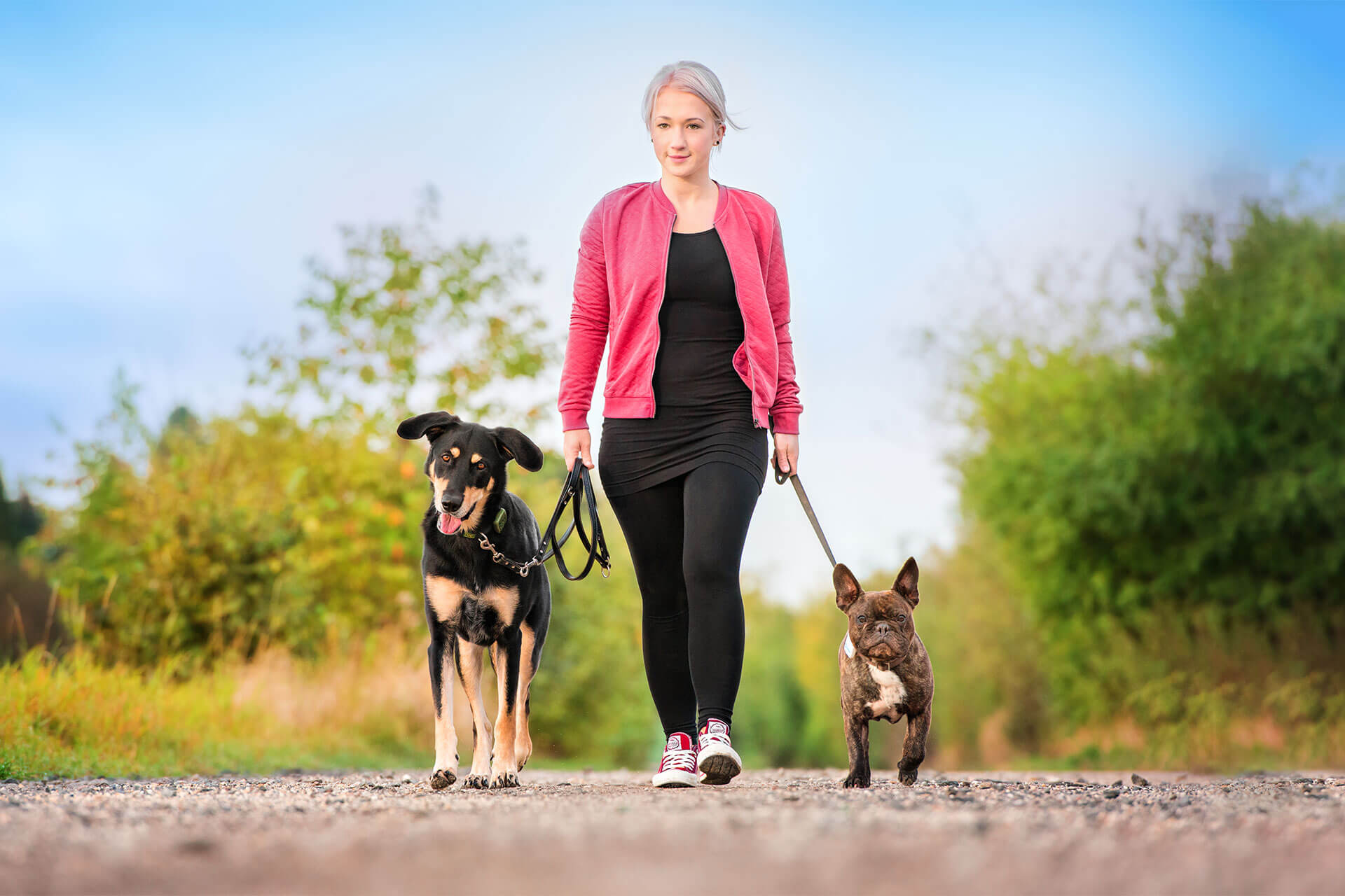 best gps for dogs 2018