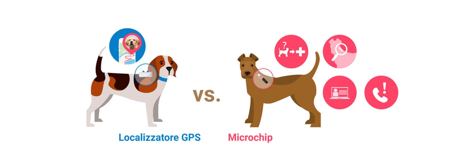 Microchip per cani e Tractive GPS tutte le differenze Blog Tractive