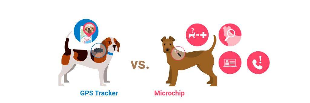 GPS tracker vs Microchip