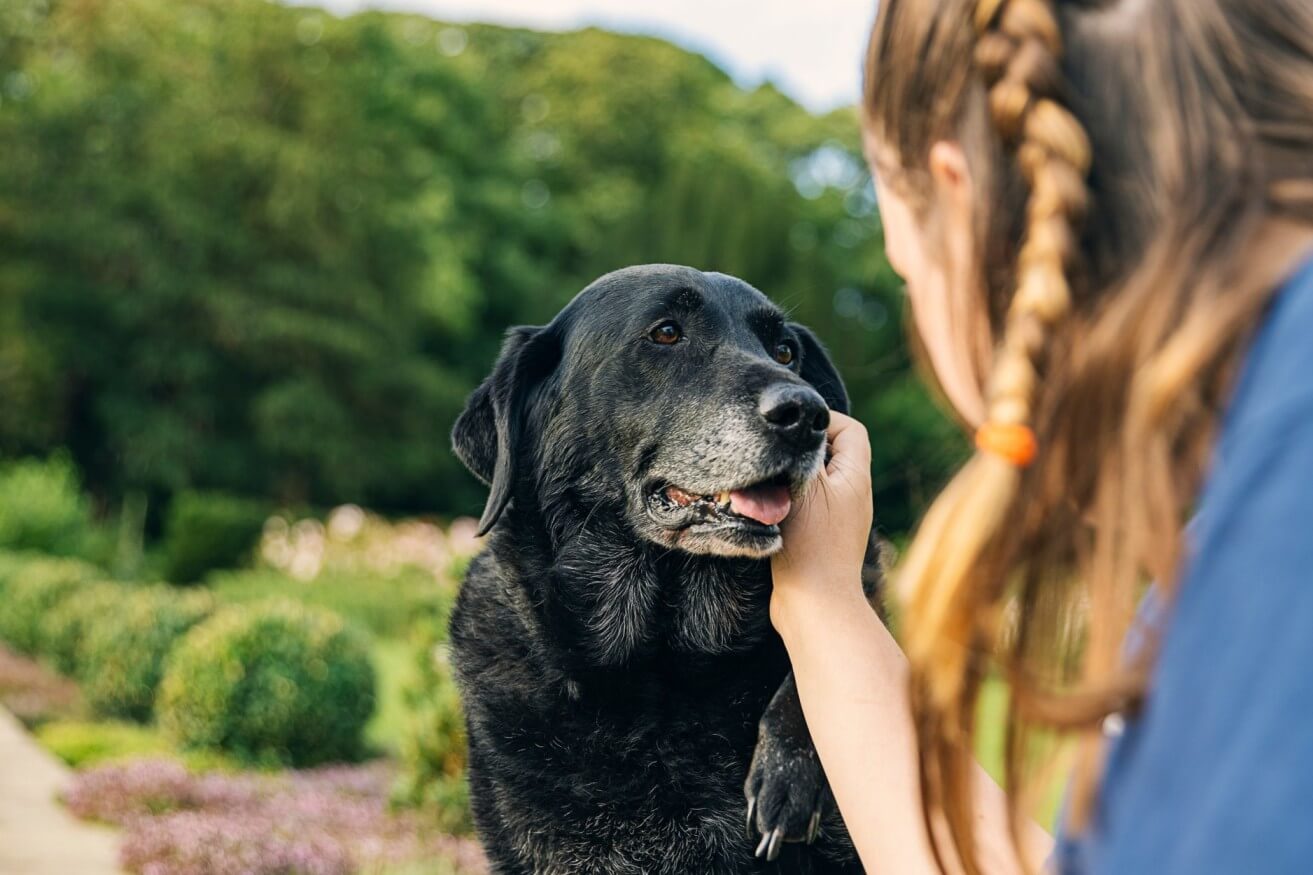 A woman petting her senior dog outdoors