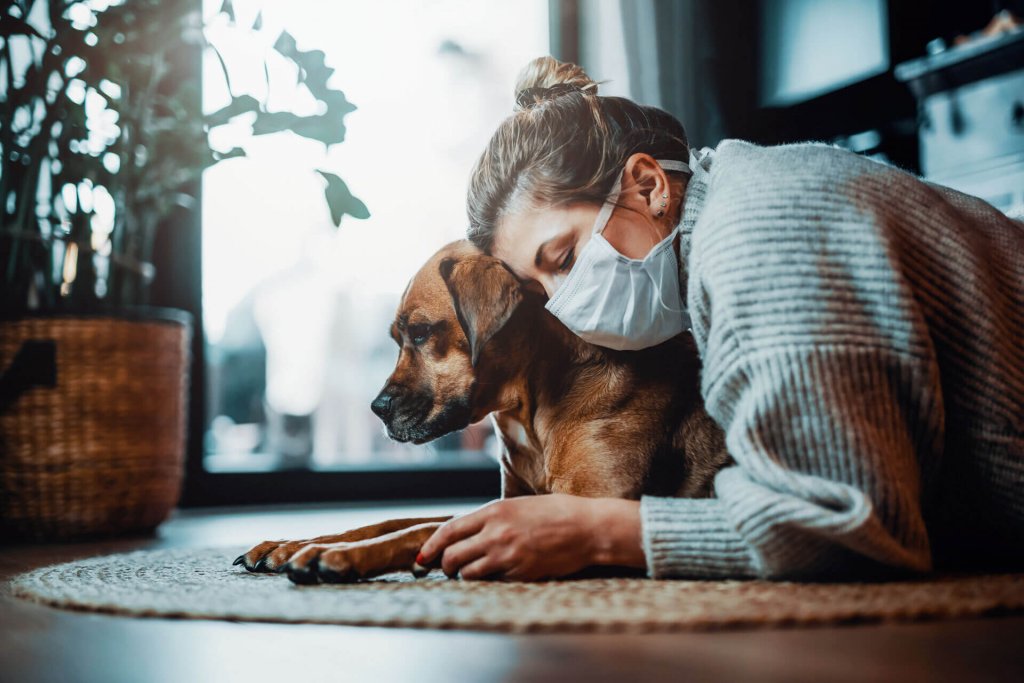 Can dogs get coronavirus? How to be prepared for COVID19 in dogs