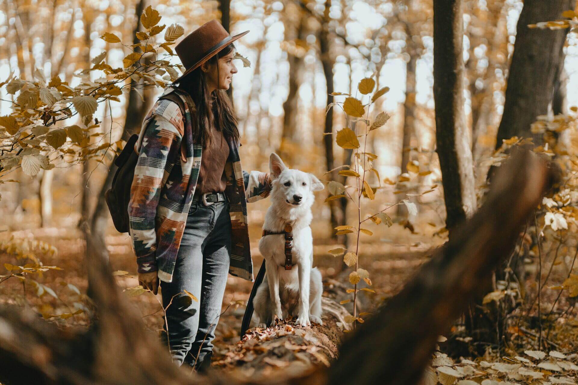 A woman leading a white dog on a leash through the woods