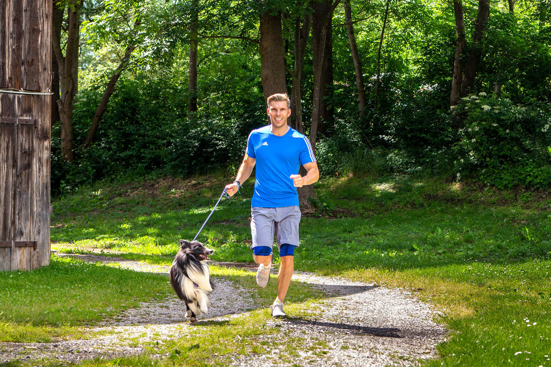 Austrian Pet Tracker Company Tractive Is Expanding in Seattle After New  Funding