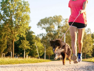sportliche Frau und Hund laufen im Freien