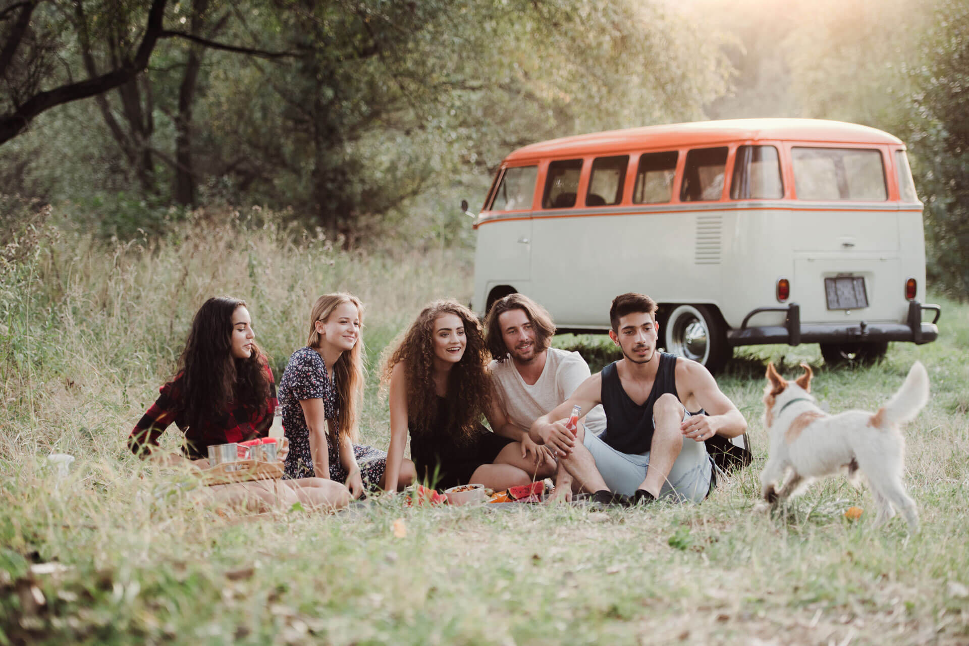 Jeunes personnes dans la nature avec un chien et un van