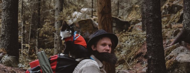 A man hiking with their cat in a forest