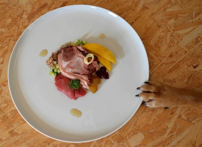 patte de chien repoussant une assiette avec de la nourriture pour chien style restaurant