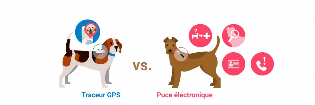 illustration de deux chiens, l'un avec un gps, l'autre avec une puce électronique, symboles montrant leurs possibilités