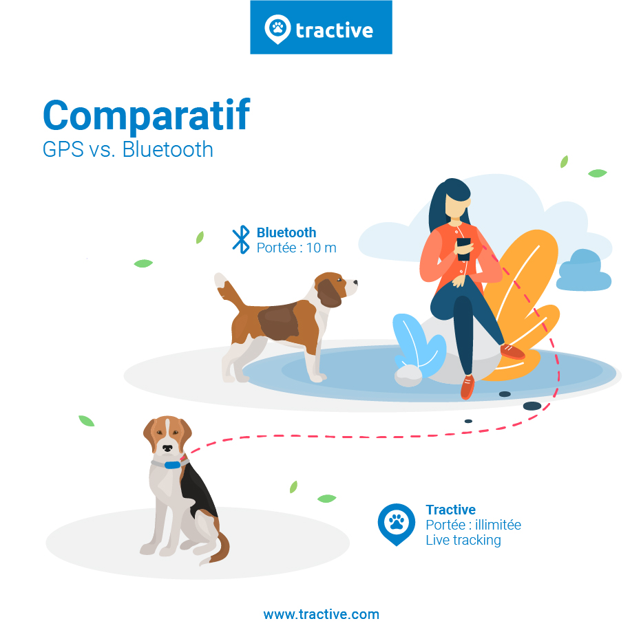 Infographie comparatif GPS et Bluetooth pour localiser son chien