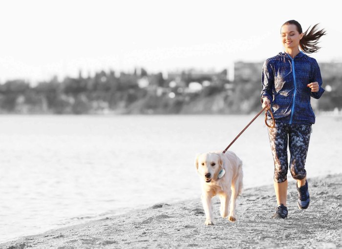femme faisant du jogging sur la plage avec son chien à la laisse qui porte un GPS Tractive