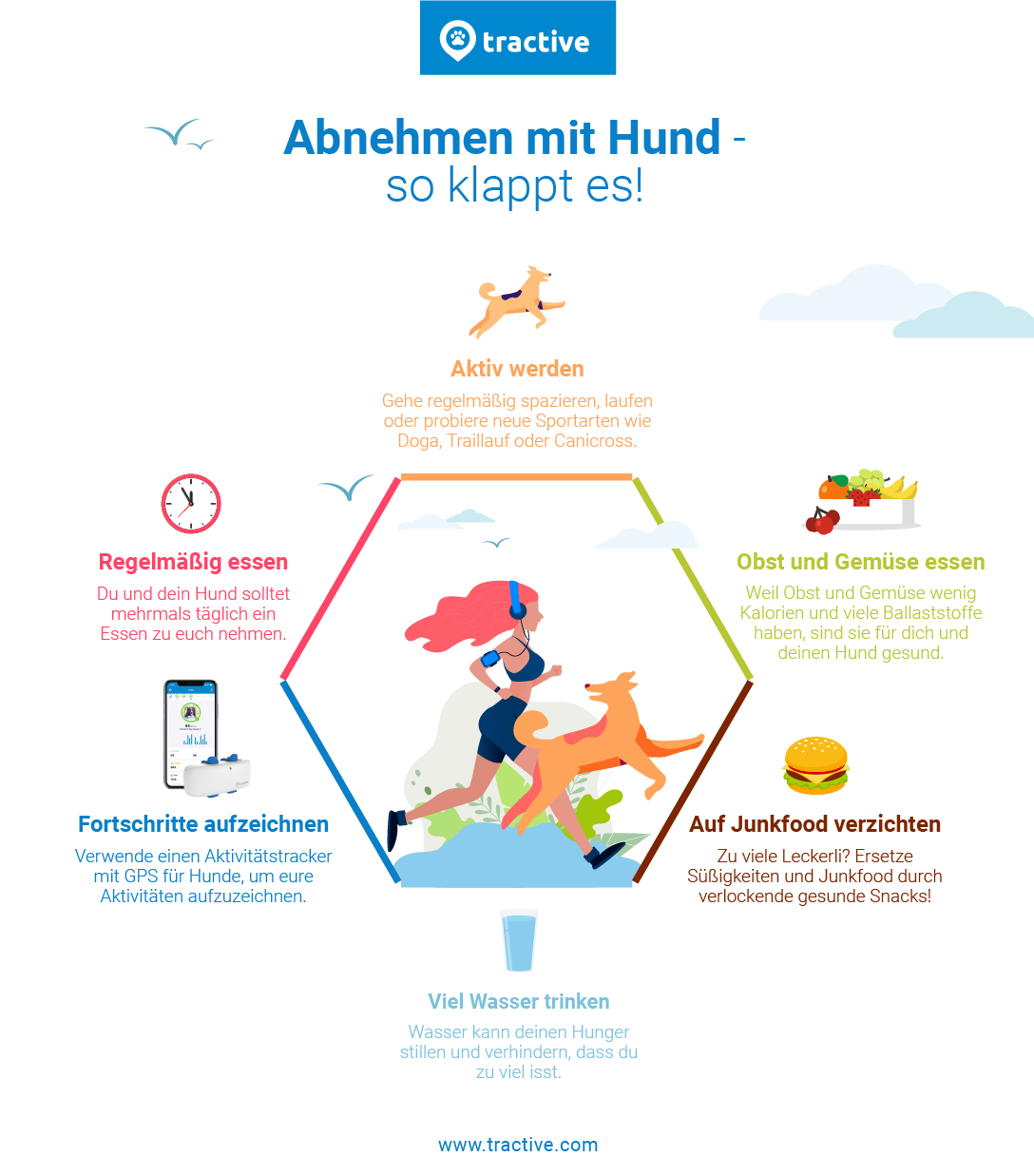 Abnehmen mit Hund 5 Tipps für eure Fitness Tractive Blog