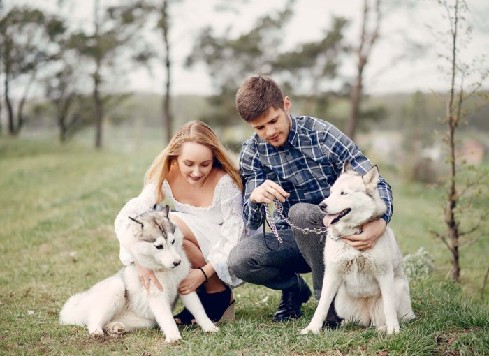 homme et femme accroupis dans un champ avec deux chiens blancs à la laisse