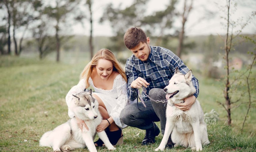 homme et femme accroupis dans un champ avec deux chiens blancs à la laisse