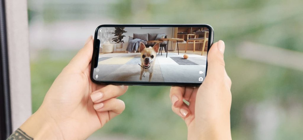 woman's hands holding a smartphone watching her dog throught the petcube pet camera app