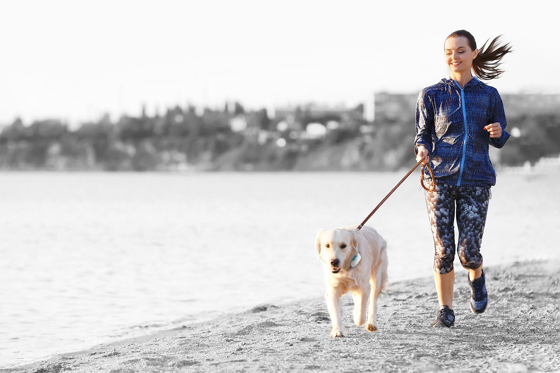 Get in shape! Five reasons why you should exercise with your dog