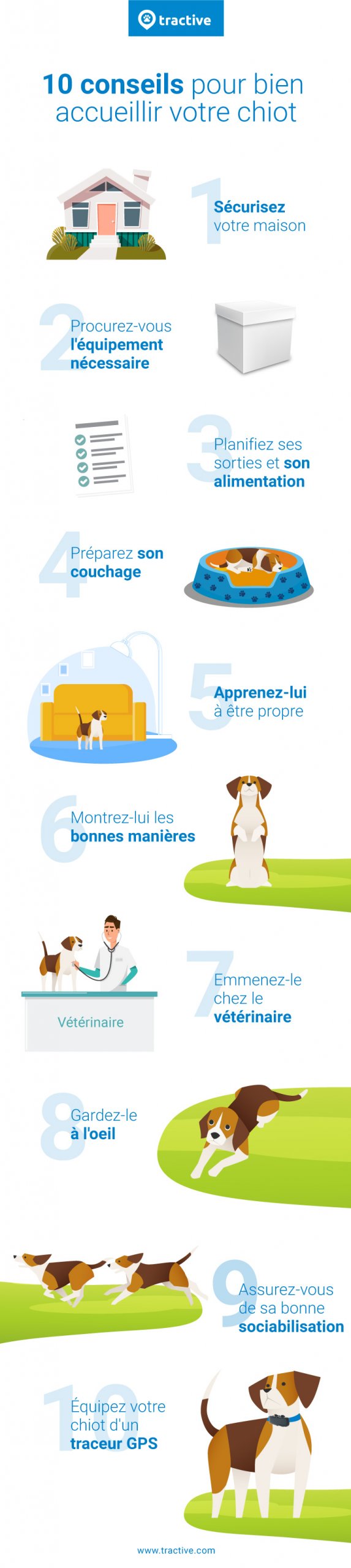 Infographie listant 10 conseils pour bien accueillir votre chiot
