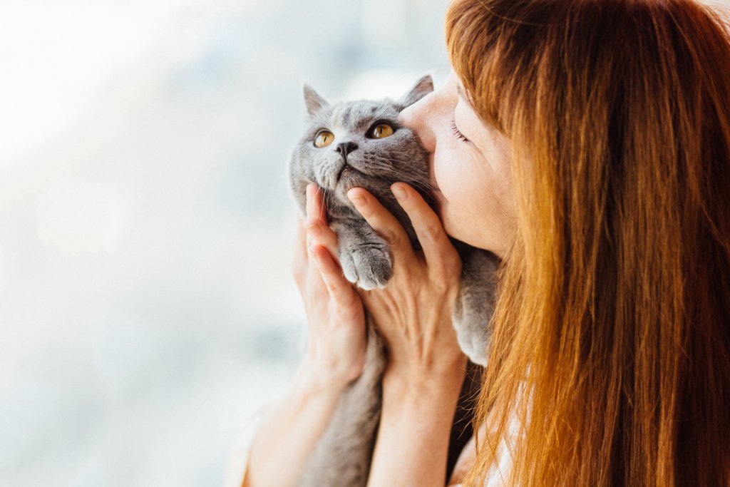 Mujer pelirroja abrazando y besando a un gato gris