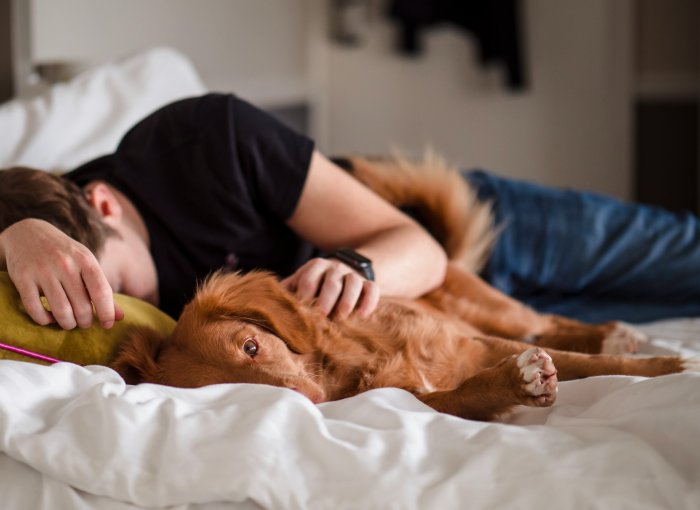 A man sleeping in bed next to a dog