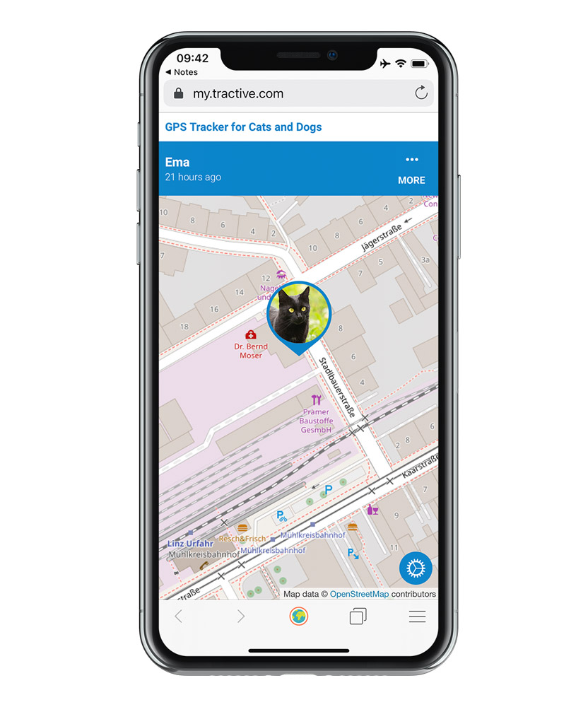 Tractive "Öffentliche Freigabe" aktivieren
