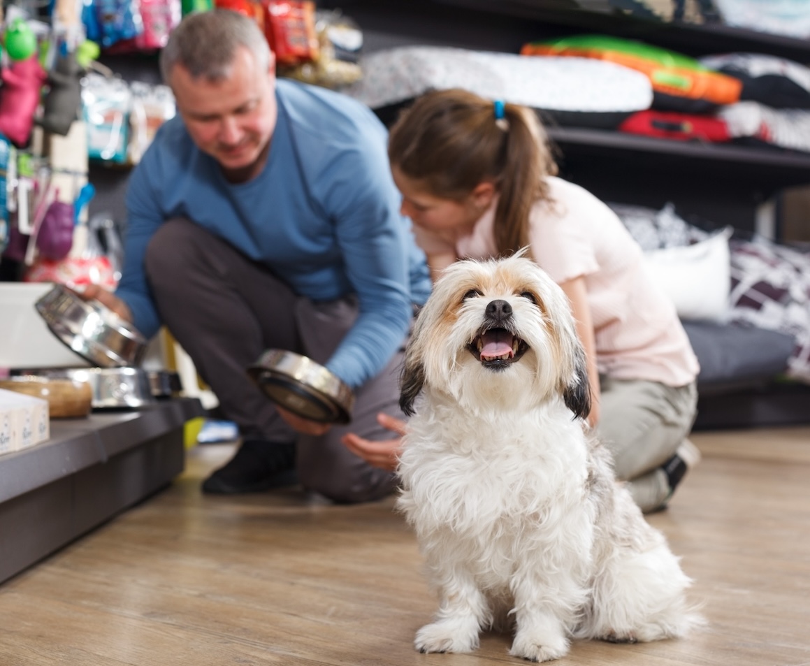 Mann und Frau mit einem kleinen weißen Hund in einem Tiergeschäft