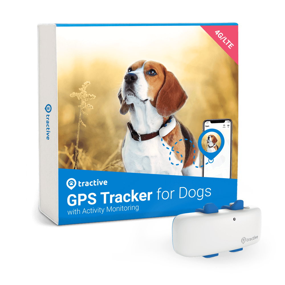 Productverpakking van de Tractive GPS-tracker voor honden met Activiteitenmonitoring
