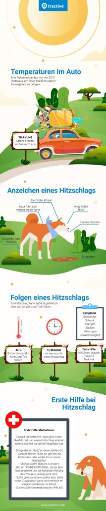 Infografik zu Ursachen, Symptomen und Sofortmaßnahmen bei Hitzschlag beim Hund