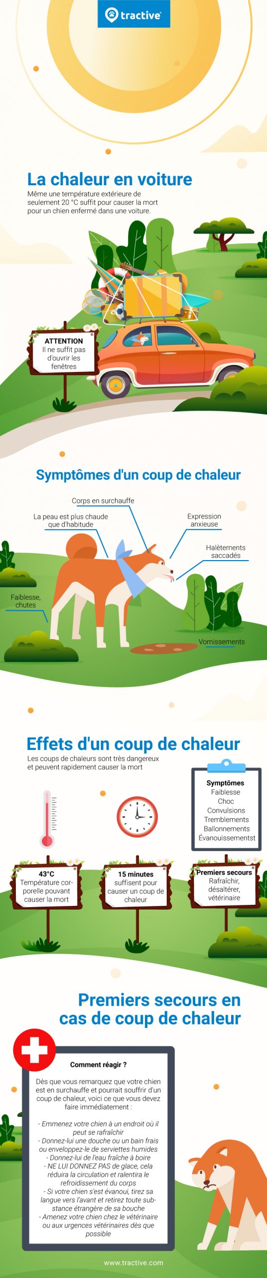 Le coup de chaleur chez le chien infographic