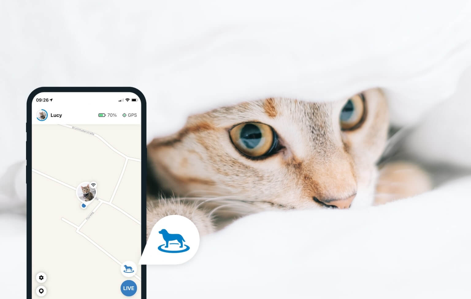Illustration av Hitta-läge med katt – Tractive Bluetooth GPS-spårare