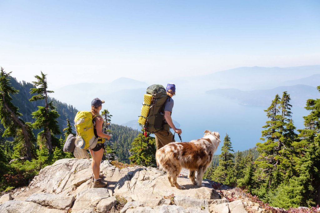 två personer som vandrar med hund och tittar på utsikten på ett berg