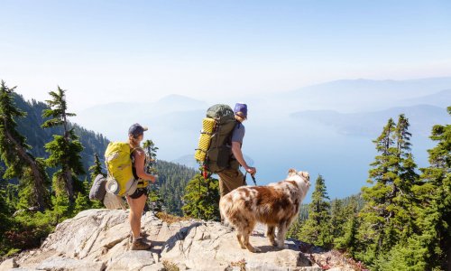 Hiking With Dogs: The Guide For A Safe Adventure Together - Tractive