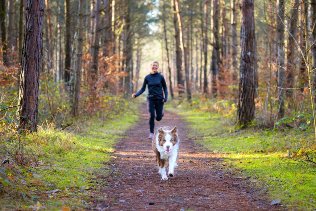 A woman walking along a forest trail with her dog