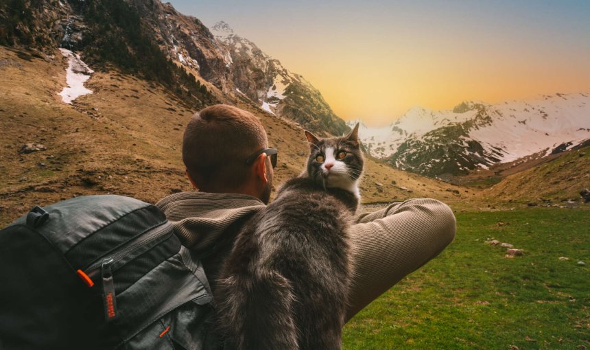 A man hiking with a cat in the mountains