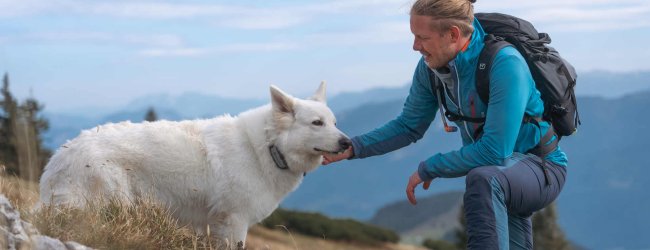 Un hombre haciendo senderismo con un perro blanco que lleva un rastreador GPS Tractive.