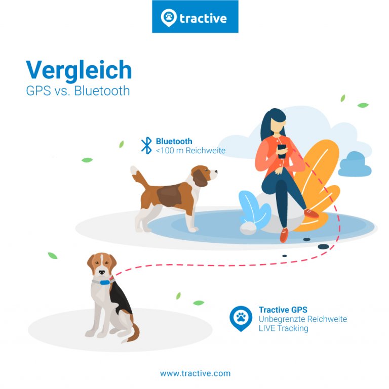 Gibt es einen GPS Tracker ohne Abo? Tractive